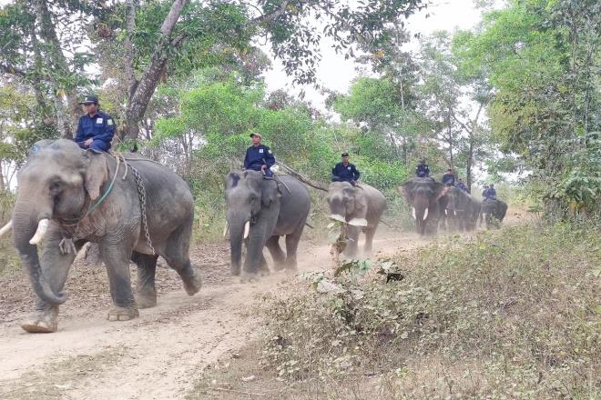Myaing Hay Won Elephant Conservation Camp Image