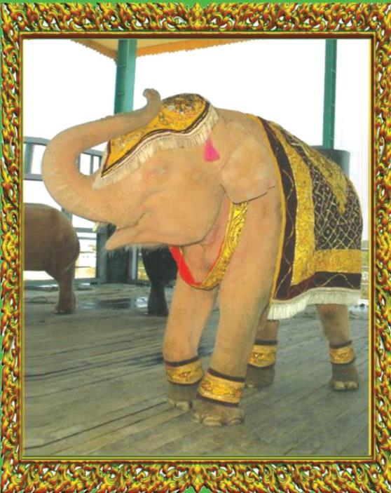 Royal White Elephants Conservation Garden Image