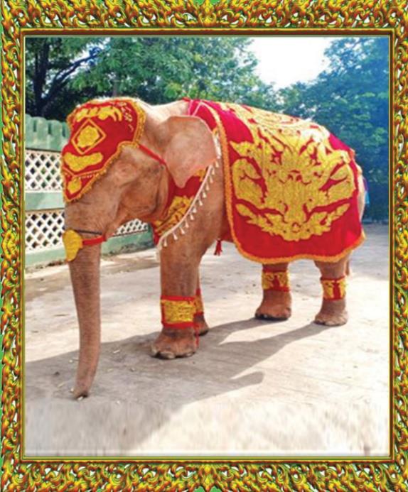 Royal White Elephants Conservation Garden Image