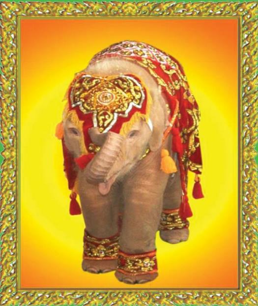 Royal White Elephants Conservation Garden Image