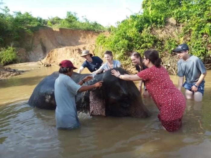 Wingabaw Elephant Conservation Camp Image