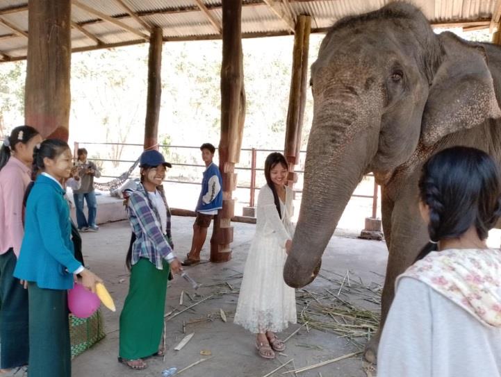 Wingabaw Elephant Conservation Camp Image